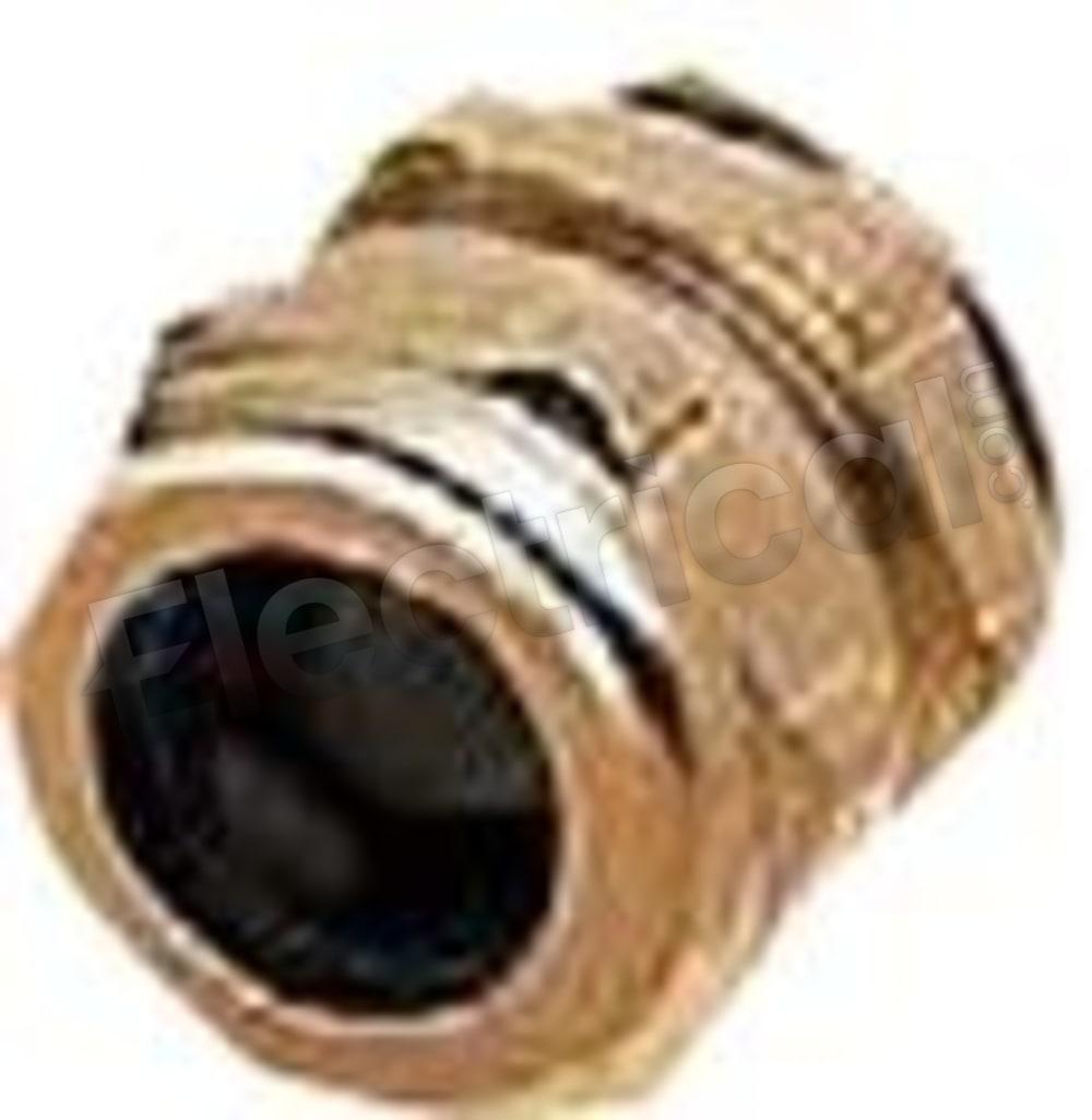 09-00-000-5081