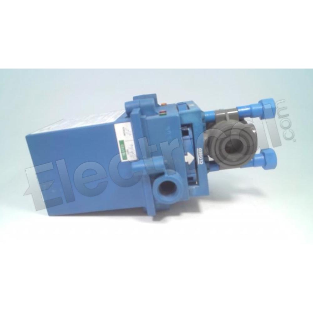 EBV-65