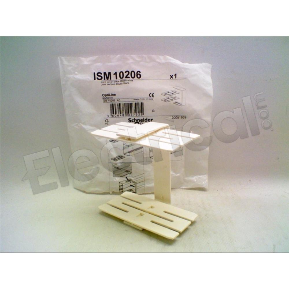 ISM10206