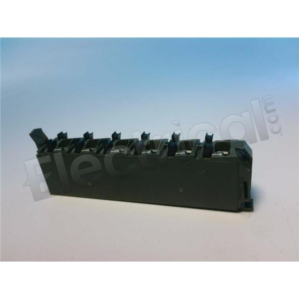 TM5ACTB32