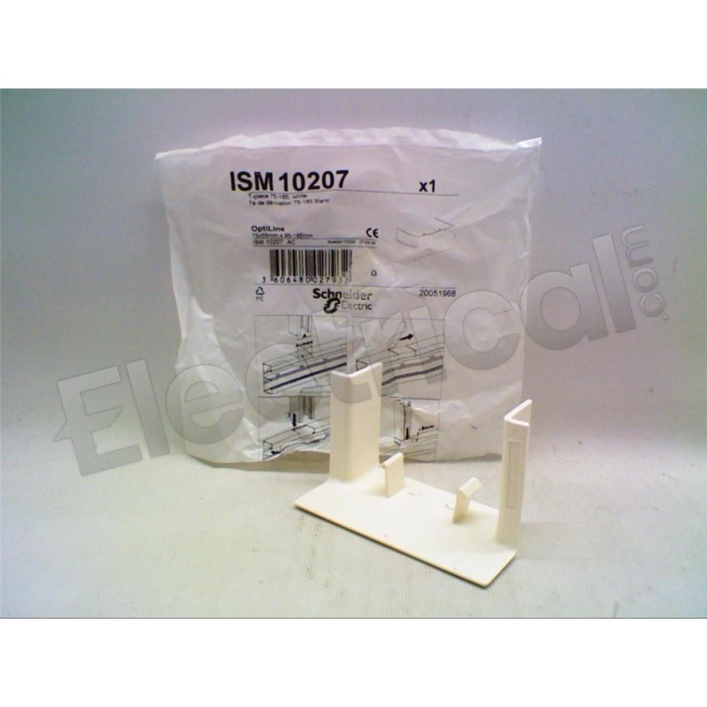 ISM10207